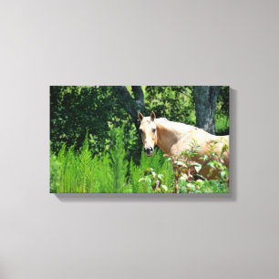 Toile Palomino Horse Photo Canvas Imprimer