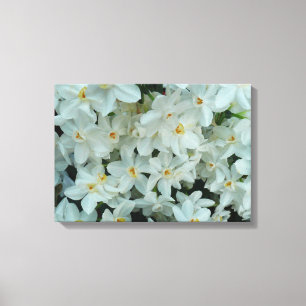 Toile Paperwhite Narcissus Fleurs blanches délicates