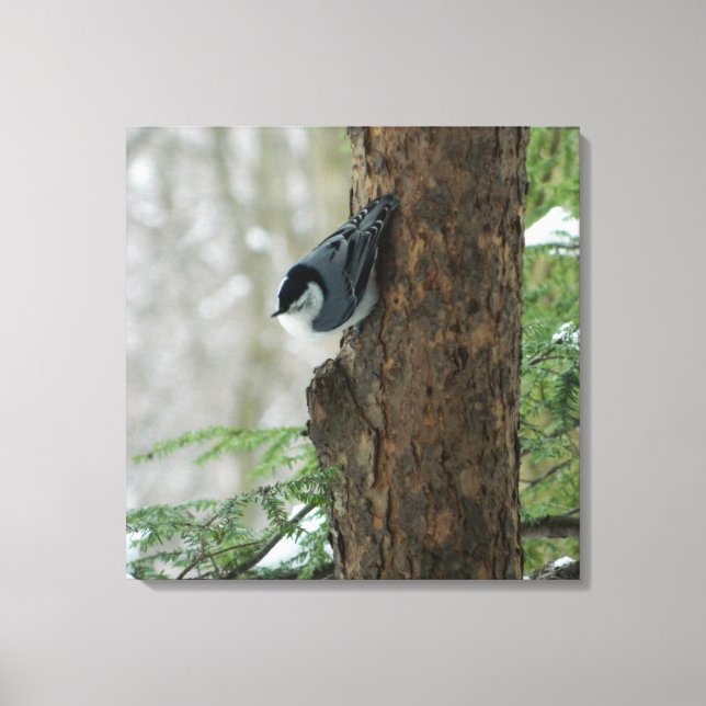 Toile Papier à nuthatch blanc (Forêt) (Recto)