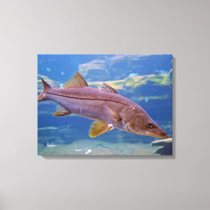 Toile Papier à poisson Snook