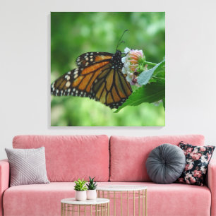 Toile Papier papillon Monarque