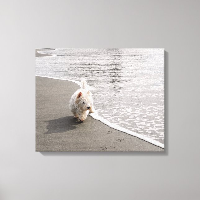 Toile Papier photo Westie Beachcombi (Recto)