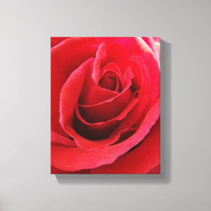 Toile Papier rose rouge