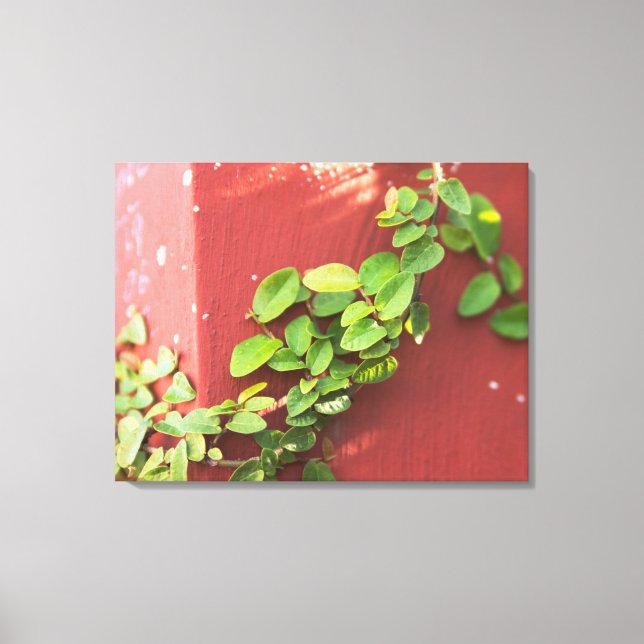 Toile Papier Vigne de corail (Recto)