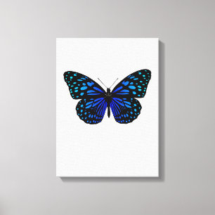 Toile papillon