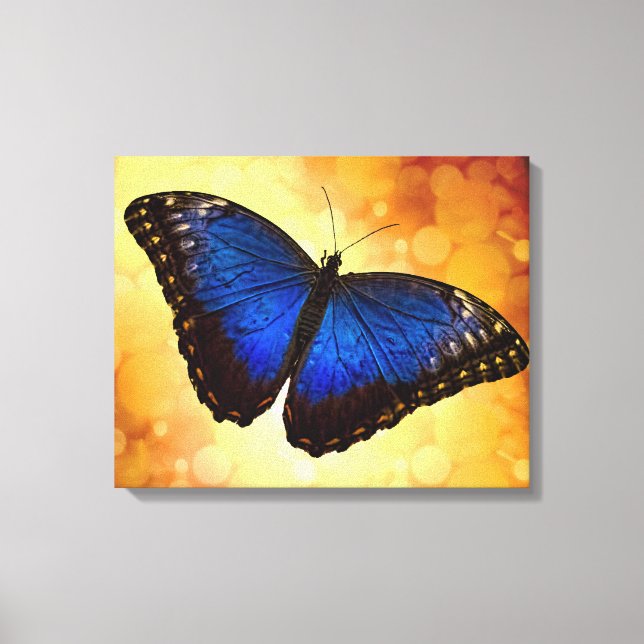Toile Papillon bleu Morpho (Recto)