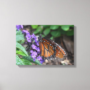 Toile Papillon de monarque