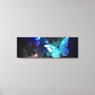 Toile Papillon de nuit