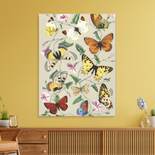Toile Papillon de nuit vintage 1842 Art botanique floral