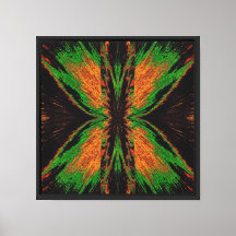 Papillon de velours 25