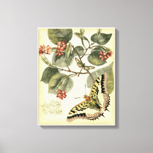 Toile Papillon et libellule à fleurs rouges