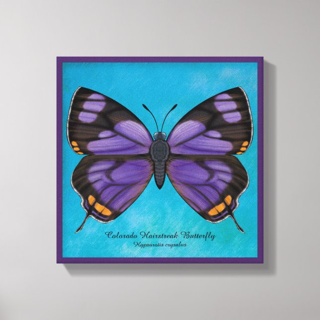 Toile Papillon Hairstreak du Colorado (Recto)
