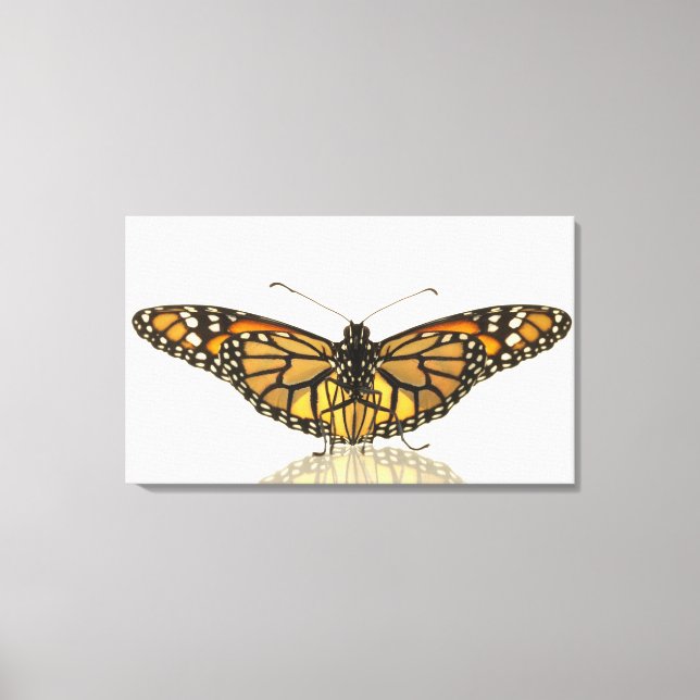 Toile Papillon monarque avec ailes étalées (Recto)