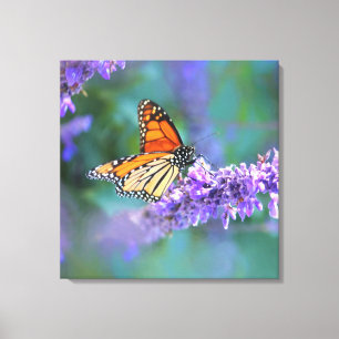Toile Papillon Monarque sur Fleur violette lilas