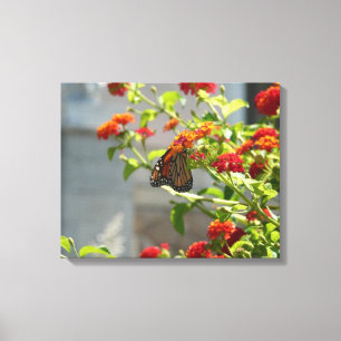 Toile Papillon monarque sur le papillon rouge Bush