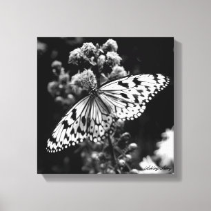 Toile Papillon noir et blanc