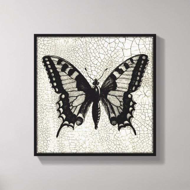 Toile Papillon noir et blanc sur Arrière - plan fissuré (Recto)