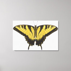 Toile Papillon occidental de machaon de tigre