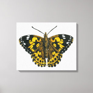Toile Papillon peint lady