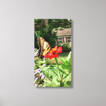 Papillon sur Fleur devant la maison - Vertical