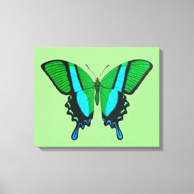 Toile Papillon Swallowtail en vert, turquoise et noir (Recto)