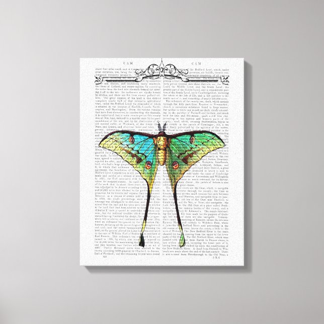Toile Papillon vibrant (Recto)