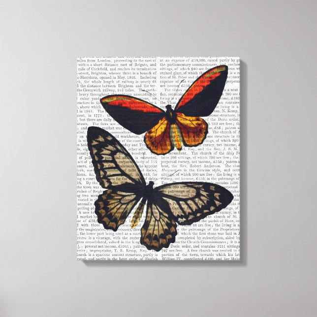 Toile Papillons 3 (Recto)