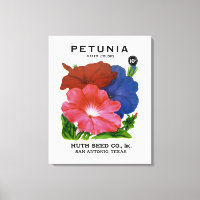 Paquet de semences Vintage Petunia