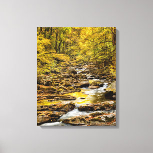 Toile Parc national des Great Smoky Mountains. Big Creek