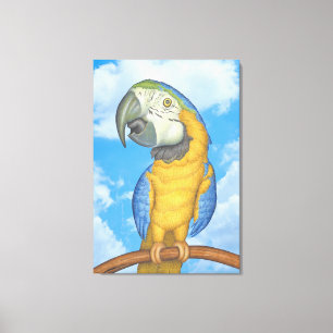 Toile Parrot bleu et or macaw