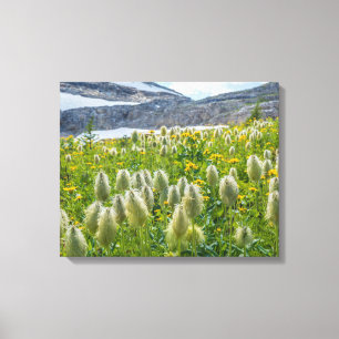 Toile Pasqueflower occidental   Monts East Kootenay