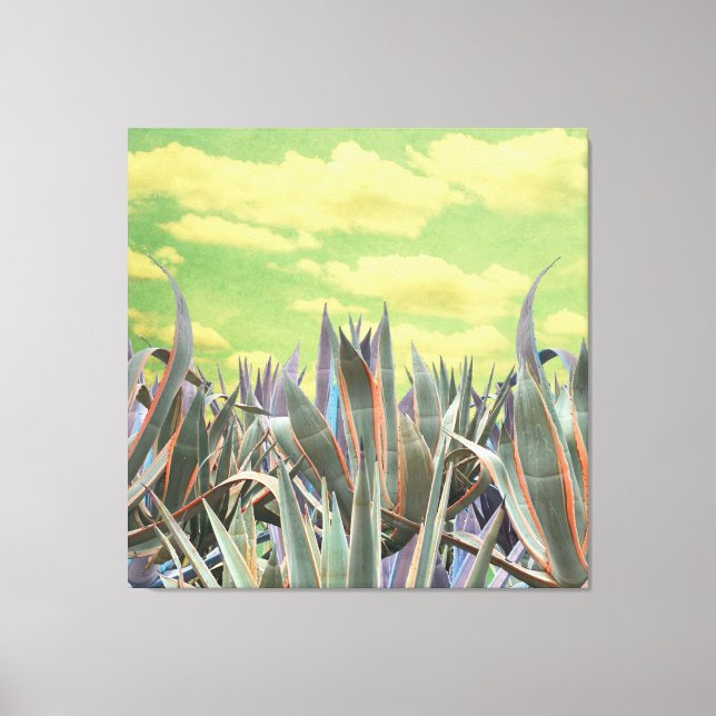 Toile Pastel Agave Cactus contre ciel nuageux Collage (Recto)
