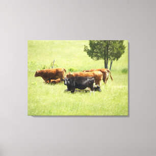 Toile Pastoral