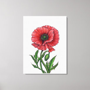 Toile Pavot rouge, aquarelle et encre