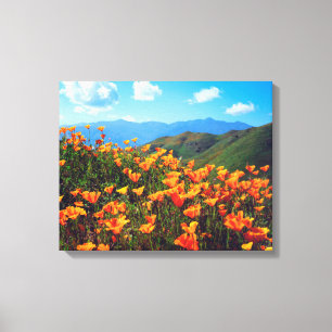 Toile Pavots de Californie couvrant un flanc de colline