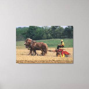 Toile Pays Amish gens simples dans l'agriculture avec