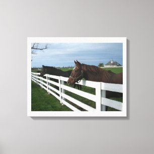 Toile Pays du Cheval du Kentucky