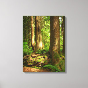 Toile Paysage canadien Art forestier de la côte ouest Im