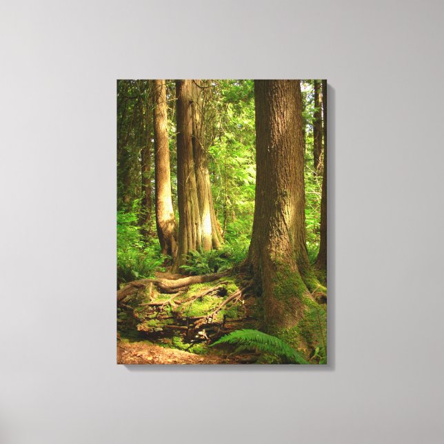 Toile Paysage canadien Art forestier de la côte ouest Im (Recto)