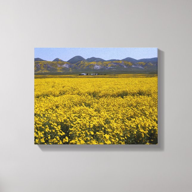 Toile Paysage de terrain Fleur sauvage jaune (Recto)