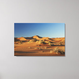 Toile paysage désertique du Namib à Sossusvlei,