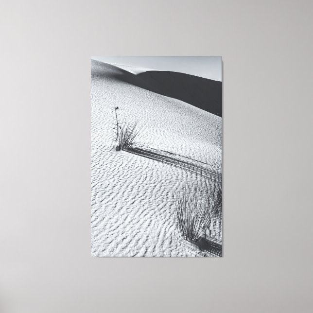 Toile Paysage du désert monochrome avec touffes de laito (Recto)