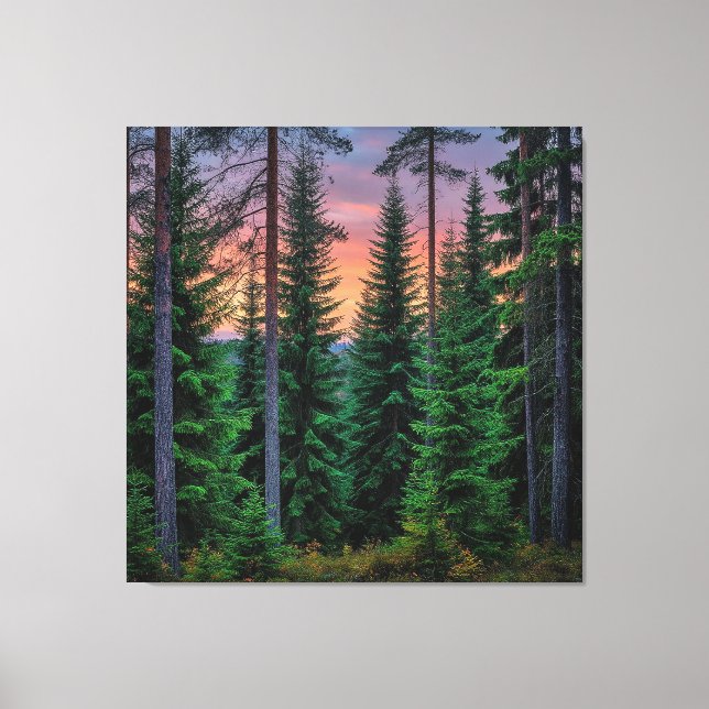 Toile Paysage forestier au coucher du soleil avec une vé (Recto)