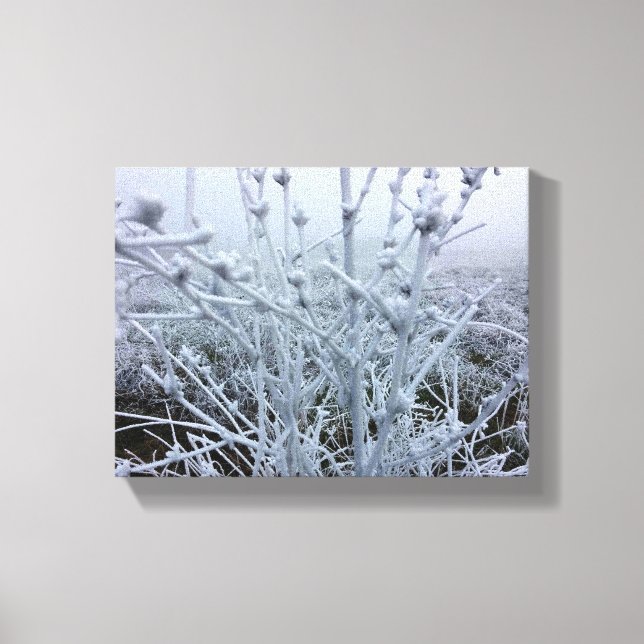 Toile Paysage hivernal Plante givré (Recto)
