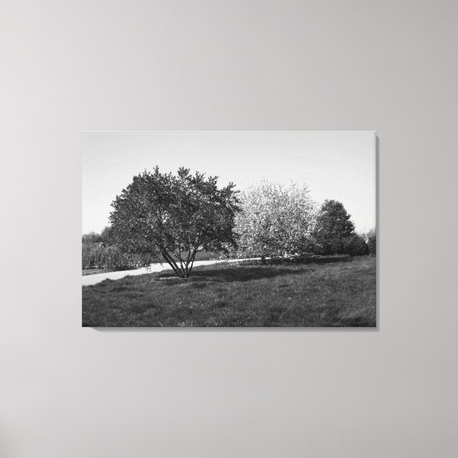 Toile Paysage magnifique avec arbres en noir et blanc (Recto)