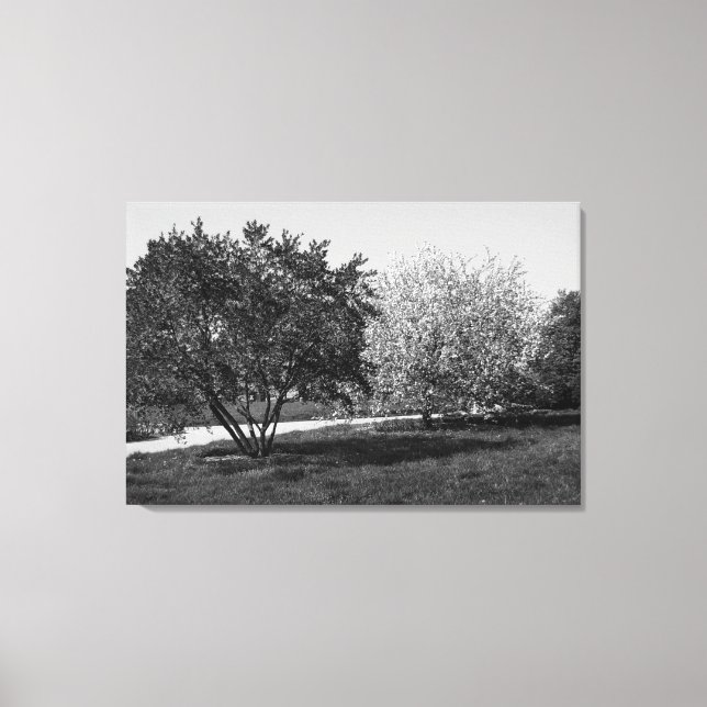 Toile Paysage magnifique et arbres (Recto)