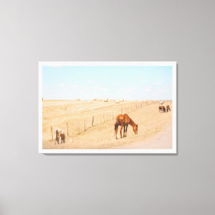 Toile Paysage rural Chevaux sauvages Champs
