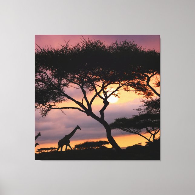Toile Paysage Safari Africain Au Coucher Du Soleil Impri (Recto)