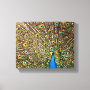 Toile Peacock Motif Peacock Artisanat Peacock Peinture A
