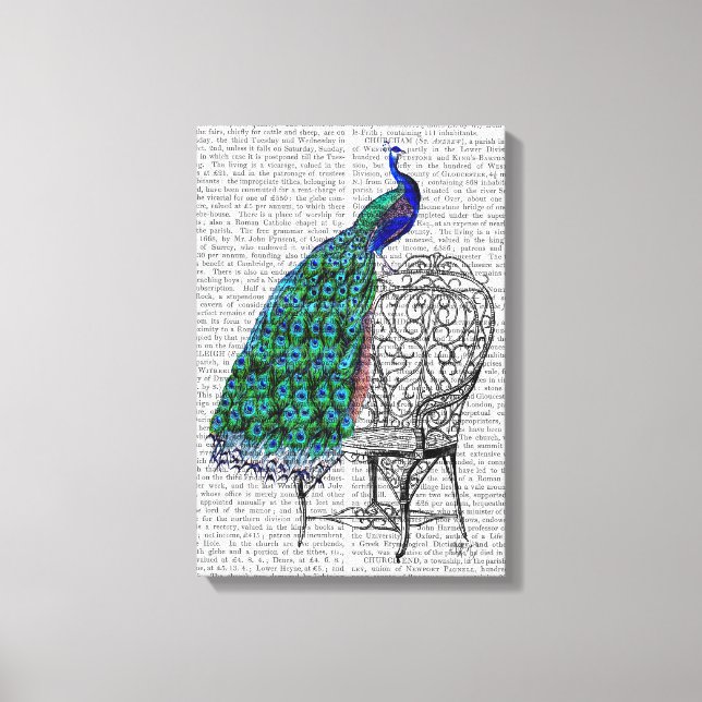 Toile Peacock sur la chaise (Recto)